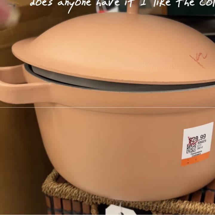 Terracotta Dutch oven, from Alex Bailey's thrift haul
