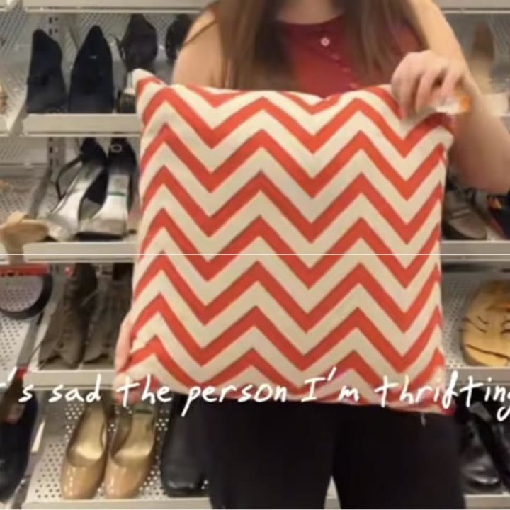 Red and cream chevron throw pillows, from Alex Bailey's thrift haul